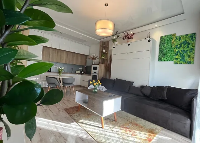 Cozy Apartment