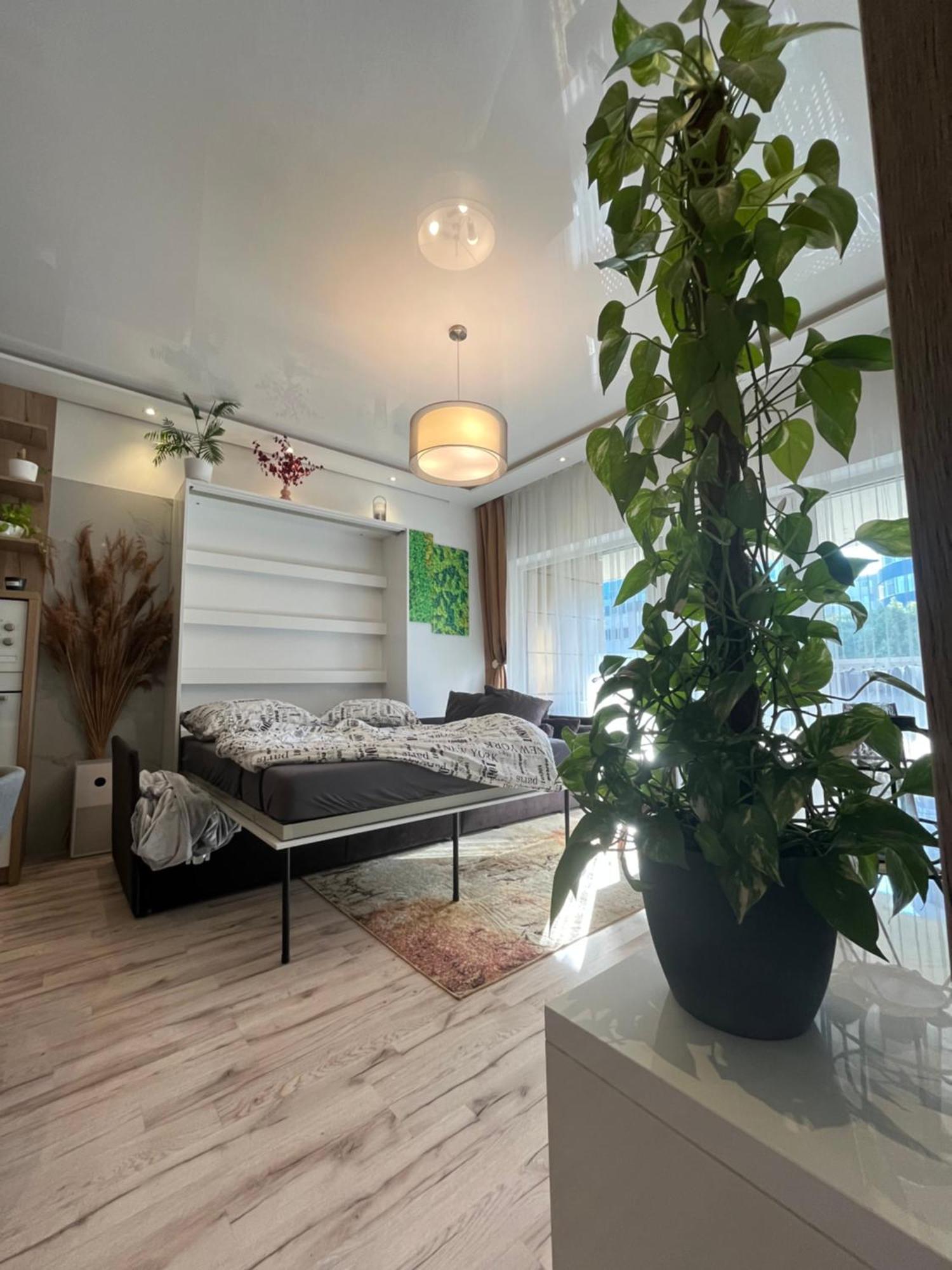 Apartment Cozy *
